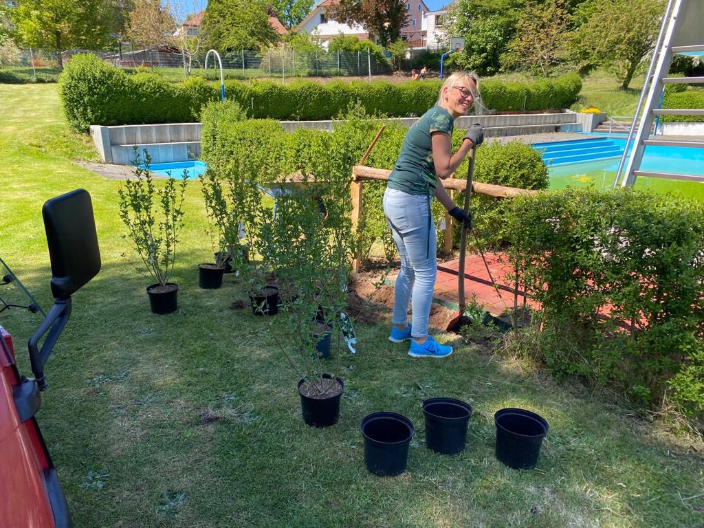 0f3abe35-252b-40d4-adfd-70fdd4938fb3